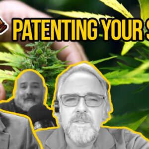 Patenting a Strain | Can You Patent Your New Cannabis Strain? | Utility Patents & Plant Patents