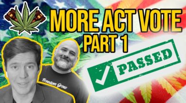 The MORE Act Vote Gets Postponed by Debbie Lesko | Breaking Cannabis News | MORE Act vote Part 1.