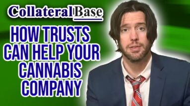 How Trusts Can Help Your Cannabis Company | Business Succession Planning with Trusts