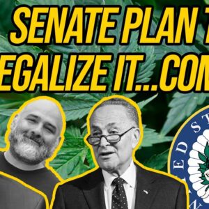 Schumer Marijuana Bill Will Stop Big Alcohol And Tobacco From Dominating Market
