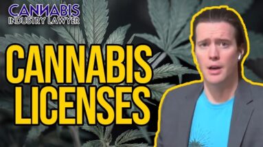 Cannabis License | What are Cannabis Licenses & How to Get One