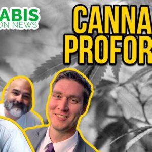 Cannabis Proformas for Dispensaries and Grows | Vigland Advisors