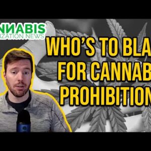 Cannabis Prohibition - Who's to Blame