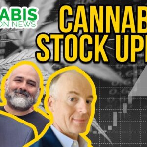 Cannabis Stock News | CFN Media
