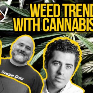 Cannabis Trends and Weed News with Eugenio Garcia from Cannabis Now