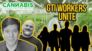 Cannabis Unions - GTI Workers Unite for Rights