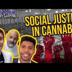 Chicago Cannabis Lawyer - Social Justice in Illinois Cannabis