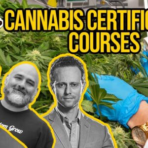 Cannabis Education | The Ganjier Certification | Green Flower's Max Simon | Cannabis Certification