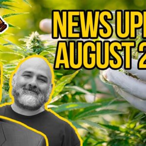 Federal Cannabis Legalization News - August 2020 - Cannabis News Roundup