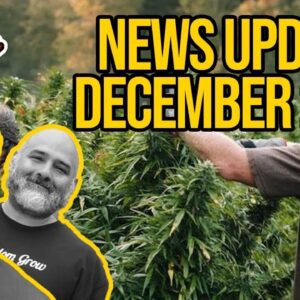 Federal Cannabis Legalization News - December 2020 - Cannabis News Roundup