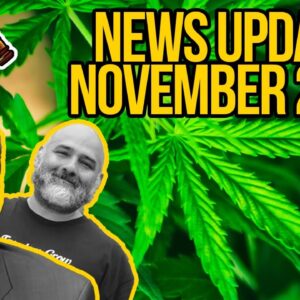 Federal Cannabis Legalization News - November 2020 - Cannabis News Roundup