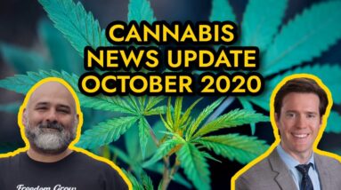Federal Cannabis Legalization News - October 2020 - Cannabis News Roundup