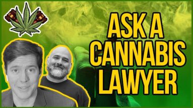 Fireside Chat with Cannabis Legalization News