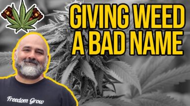 Giving Weed A Bad Name | Smoking Pot on Capitol by Rioters Trespassing