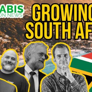Growing Legal Cannabis in South Africa