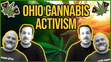 Ohio Marijuana Activist Michael Willett Joins The Cannabis Conversation