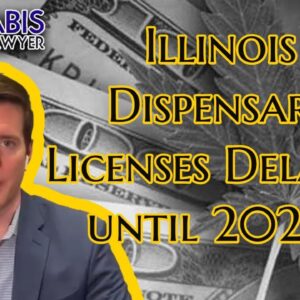 Illinois Cannabis Licenses Delayed Until Spring 2021?