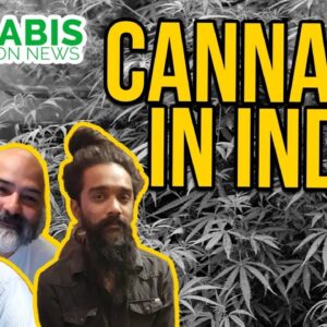 Is Cannabis Legal in India? Great Legalisation Movement - Viki Vaurora