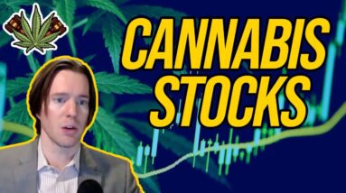 Cannabis Stocks | Should you invest in pot stocks | What marijuana stocks to buy?