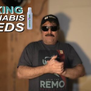 Making Cannabis Seeds with Canna Fem Spray