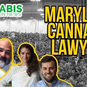 Maryland & Washington DC Cannabis Lawyers | Kinner & McGowan