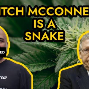 Mitch McConnell Hates Marijuana - Stops Unemployment Stimulus