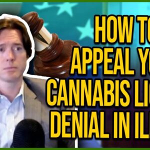 How to Appeal Your Cannabis License Denial in Illinois - Complete guide to lawsuits & amendments