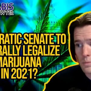 Democratic Senate to Federally Legalize Marijuana In 2021? MORE Act, or something new?
