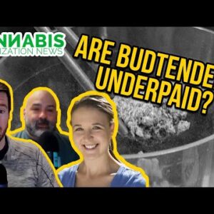 Starting a Cannabis Business | Building Your Team | HR Software for Cannabis Businesses