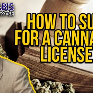 How to Sue for a Cannabis License - Illinois, Missouri & Florida marijuana litigation examples