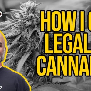 How Can I Help Legalize Cannabis? What you can do to help with cannabis legalization.