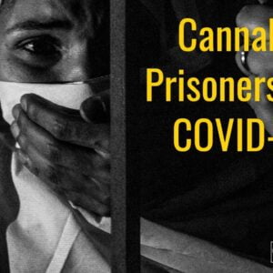 Pot Prisoners and COVID-19