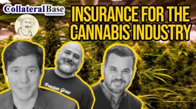 Cannabis and Hemp Industry Insurance | Cannabis Risk Management for Dispensaries and Cultivators