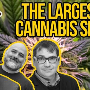 The Largest Cannabis SPAC In History