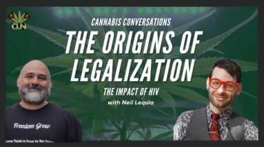 How AIDS Activists Started the Medical Marijuana Movement | Medical Marijuana and the AIDS Epidemic