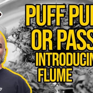 This Pipe Can Fit In Your BONG? | Introducing the Flume