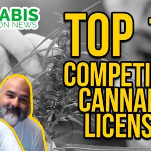 Top 10 Things to Know About Competitive Cannabis Licenses