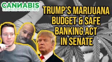 Trump's Marijuana Budget & SAFE Banking Act in Senate