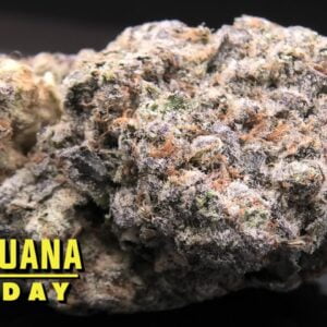 Bubba's Gift Marijuana Monday