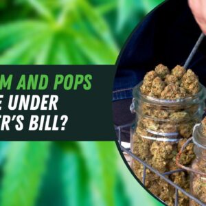 Schumer's Federal Legalization Bill Will Kill Mom and Pops, According to Experts