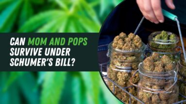 Schumer's Federal Legalization Bill Will Kill Mom and Pops, According to Experts
