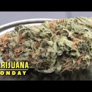 Apex R1 Marijuana Monday