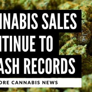 Cannabis Legalization News: 4 States Report Record Breaking Sales