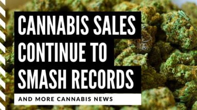Cannabis Legalization News: 4 States Report Record Breaking Sales