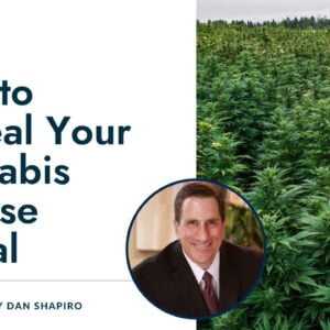 How to Appeal Your Cannabis License Denial | How to Sue to Geta Cannabis License | Cannabis lawsuits