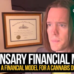 Dispensary Financial Model | What is in a financial model for a cannabis dispensary?