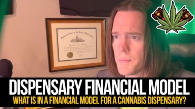 Dispensary Financial Model | What is in a financial model for a cannabis dispensary?