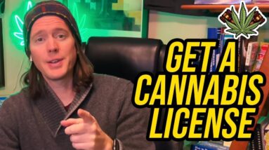 How to Get a Cannabis License | Top 10 Ways to get a cannabis license in 2022.