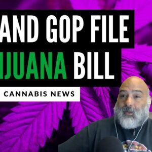 AOC and GOP File Marijuana Bill Together