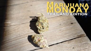 Birthday Funk Marijuana Monday (Thailand Edition)